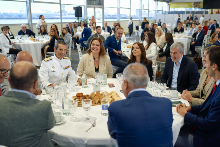 Así se desarrollará el Plan Estratégico de los Puertos de Las Palmas