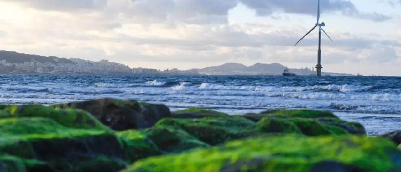 aerogenerador en un puerto