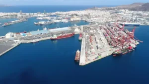 La Autoridad Portuaria de Las Palmas instala seis arrecifes biomiméticos para renaturalizar la marina