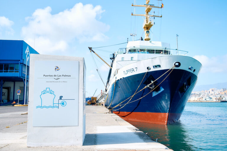 Puertos de Las Palmas avanza en la transición energética con la electrificación total del Muelle Grande