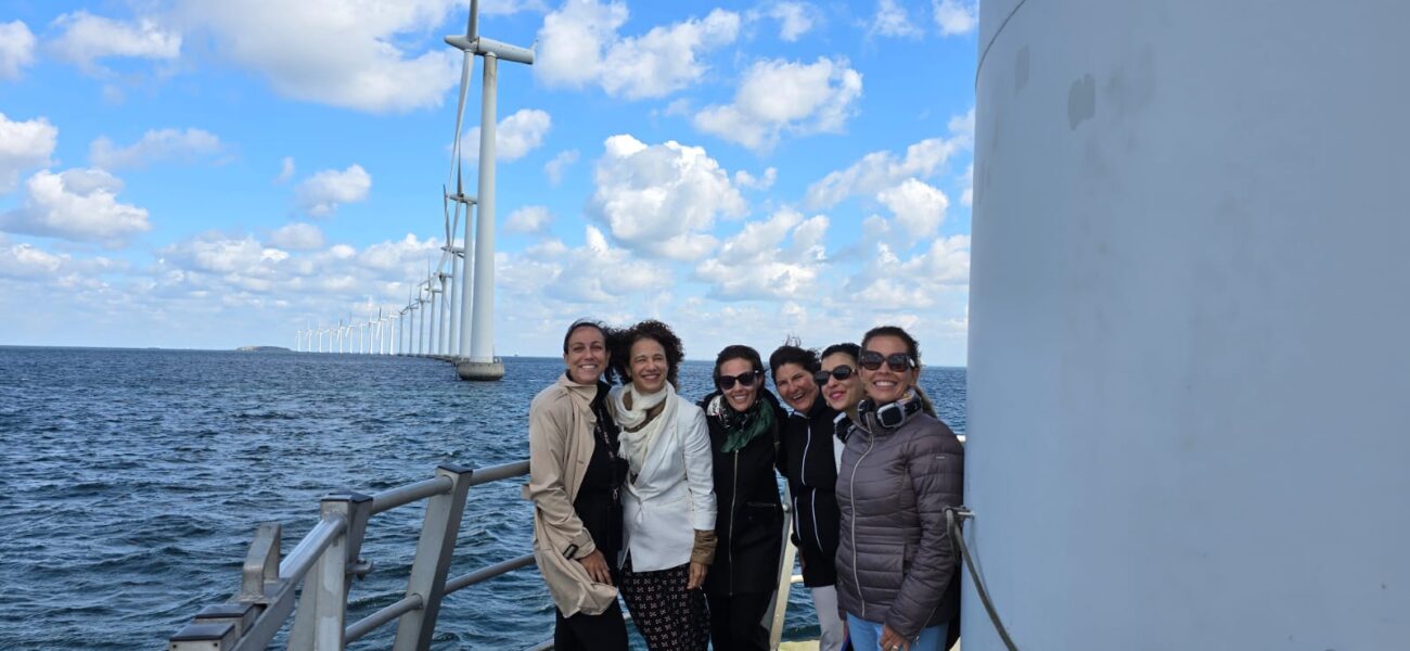 CMC visita Middelgrunden