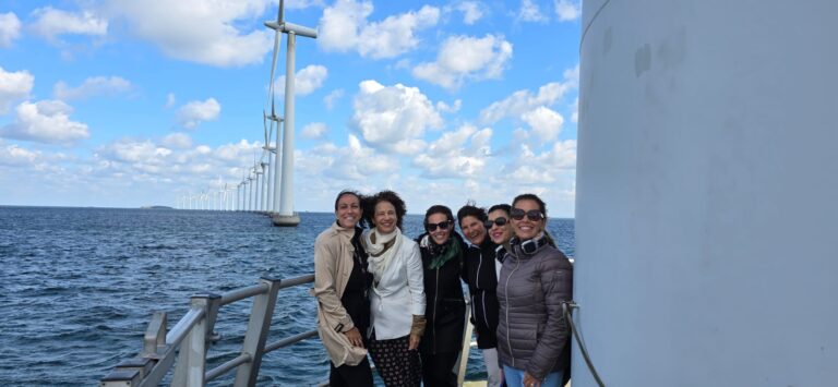 Middelgrunden: el modelo danés de propiedad cooperativa en la eólica marina inspira a Canarias