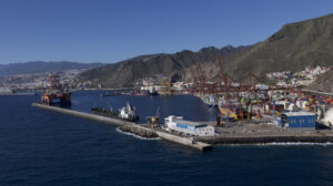 El puerto de Tenerife garantiza el suministro de cereales para el sector ganadero