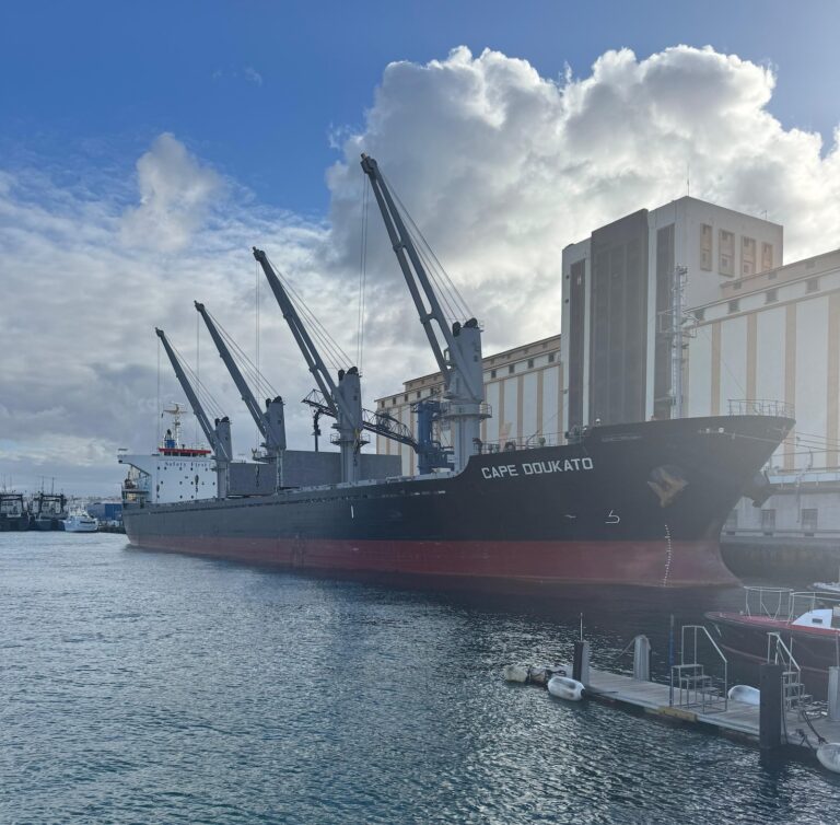 El Puerto de Las Palmas recibe 25.500 toneladas de maíz brasileño a bordo del Cape Doukato
