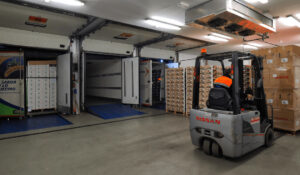 Puertos de Tenerife mueve más de medio millón de toneladas de frutas y hortalizas